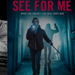 Dubbed-Movies-and-Series-vs-Subtitles