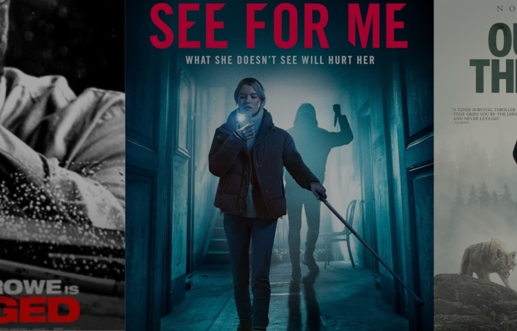Dubbed-Movies-and-Series-vs-Subtitles